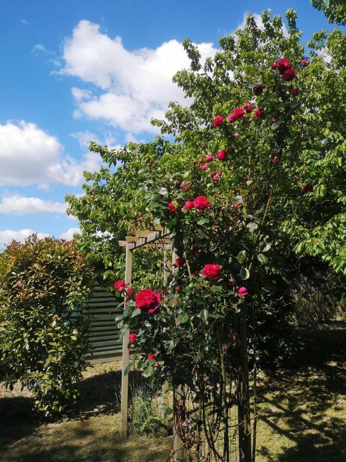 La Bastide Des Sources Apartman Beaucaire  Kültér fotó